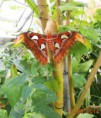 /album/fotogalerie/dscn6430-kopie-jpg/